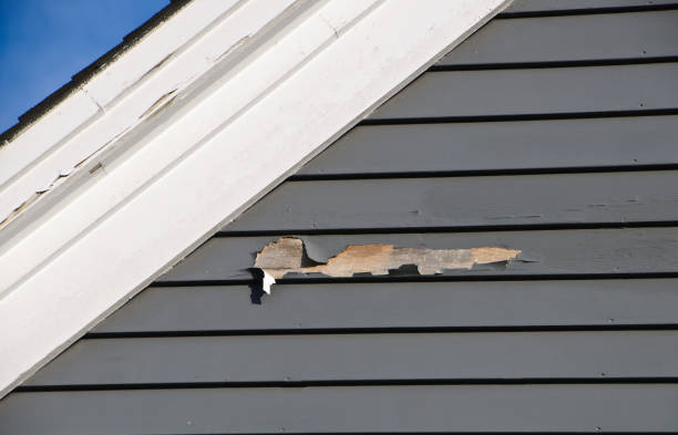 Best Historical Building Siding Restoration  in Cedar Hills, UT